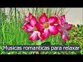 Musicas Românticas Para Relaxar - ( Romantic music to relax )