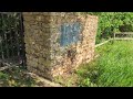 Hackberry Emperor Butterfly Swarm Lawrence Kansas June 3, 2023