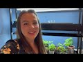 Seedling Tour 🌱 || Floret Flowers, Vegetable Seedlings, & Grow Light System from Gardener's Supply!
