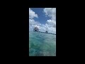 Snorkeling in Cozumel off the beach