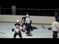 Roller Hockey Fights