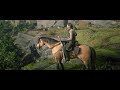 Red Dead Redemption 2_20210519195944