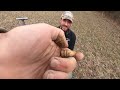 METAL DETECTING THE 1740'S MCKEE HOMESTEAD AND EXPLORING THEIR HISTORY - BONUS DIG INCLUDED