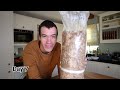 How to grow mushrooms at home - Full process day 1 to 60