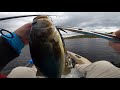 Crazy Bass Fishing Frenzy