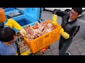 Delicious seafood dishes, sashimi, king crab, grilled clams | Korean Street food