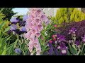 June Garden Tour. Gorgeous Blooms! Foxglove, Iris, Peonies & Roses. Cottage Garden. 2024