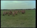 Monty Python's Flying Circus - The Man Who Collectes Birdwatchers' Eggs