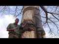 Are Baobab Trees Killed by Bark Harvesting?