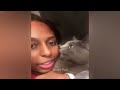 TRY NOT TO LAUGH 😸 Funny Animal Moments 2024 😘