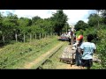 This is What Happens When Two Bamboo Trains Meet on the Bamboo Railway