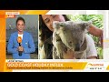 Bondi tragedy uncovered | 7 News Australia
