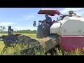 HIGH PERFORMANCE RICE HARVESTER YANMAR TRACTOR | YANMAR HARVESTER YH-850 @agtmjmaritestv9919