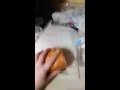 How to make a ham and cheese sub from scratch