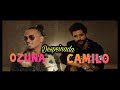 Ozuna, Camilo - Despeinada [1 Hora]