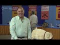 Preview: Animated Pig Pull Toy, ca. 1900 | Vintage Atlantic City, Hour 1 | ANTIQUES ROADSHOW