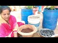 మిద్దె తోటకు కావాల్సిన మట్టి మిశ్రమం తయారీ | Perfect Potting Soil Mix- Terrace Garden Complete Guide