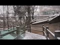 Beautiful Snowy Day in Jeongdong, Seoul 정동길 눈 내리는 풍경 2022년 1월