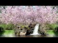 Whispers In The Wind - Meditation - Peaceful - Music Therapy