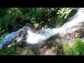 Amicalola Falls 1
