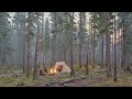 Piano Playlist / 🏕️Morning Melody in the Forest / 🎹Piano Serenade from Mozirje / 🕊️with Birdsong