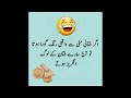 Urdu latifey| Pakistani latifey | Urdu funny | mazhiya video| jokes| Mehroz chitrali
