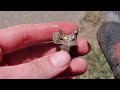 Metal Detecting Homestead And Sidewalks