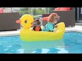 Dachshund  Hilarious Naughty  and playful 30 minutes Dog Video Compilation Try To Not Laugh