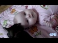 Gatos y bebÃ©s, amor eterno