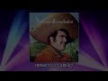 Vicente Fernández - Hermoso Cariño (Audio)