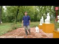 Tai-Chi Walking Series for Beginners through Advanced. Video 2 of 4 ~ Advanced Beginner