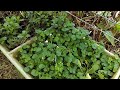 Farm Vegetable & Herb Gardens