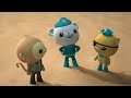 Octonauts: Above & Beyond - Desert Flooding | Creature Report | Compilation | @OctonautsandFriends