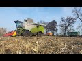 🌽Kukuryza Na Ziarno 2022🌽Claas Tucano 440💙New Holland t7050💙🔥TheNorbi Team🔥