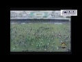 EMELEC BICAMPEON 2002 AZULTVS