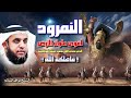 الشيخ نواف السالم 🎙️ قصة النمرود أقوى ملوك الأرض✨ الذي تحدى الله وجمع جيشه لمواجهته !! فاهلكه الله 🔥