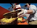 Splitting Firewood with the BEST Vertical Wood Splitter!  #axis #eastonmade #firewood