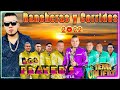 Rancheras Y Corridos 2022 🔥🔥Los Player's De Tuzantla 20 Exitos