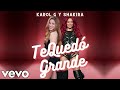 Karol G Ft Shakira  - TQG (Te Quedé Grande) - (Audio) | Full Music