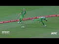 Biggest BBL Moments No.19: Quiney and the seagull
