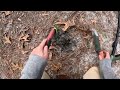 LIVE Metal Detecting in the WOODS! | Minelab X-TERRA PRO V8X Coil!