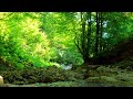 Great relaxing nature sounds help eliminate stress and fatigue