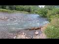 Beautiful Nature 😍 2: Credit River: July 08