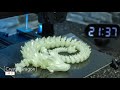 Best 3D Printed ARTICULATED Animals | with Cool Timelapse