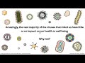 Virology Lectures 2021 #1: What is a Virus?