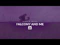 Falconry Basics | Introduction To Lure Flying Your Falcon