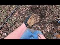 Finding 1800's Relics Metal Detecting! #mondaydigs #metaldetecting #minelabequinox800