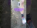 On Cloudmonster 2 Running Shoes Preview