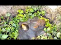 Amazing Clay Pots Fish Catching Experience in River Flowing Water#fishing