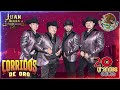 Juan Acuña y El Terror Del Norte 🤠 20 Exitos De Oro 🎧 Musica Corridos Mix
